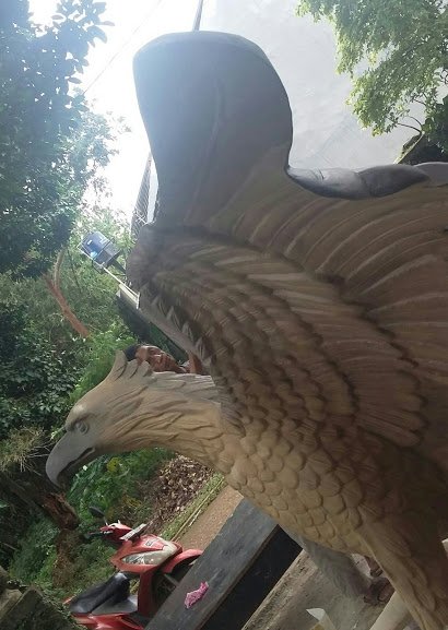gambar harga burung rajawali