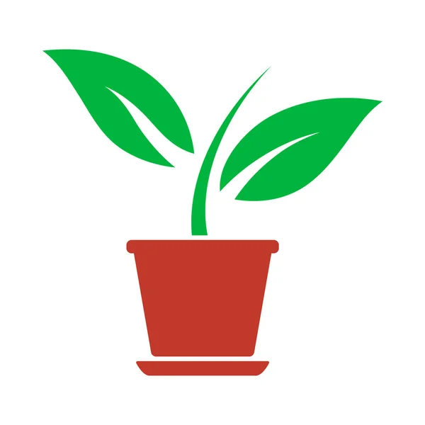 pot