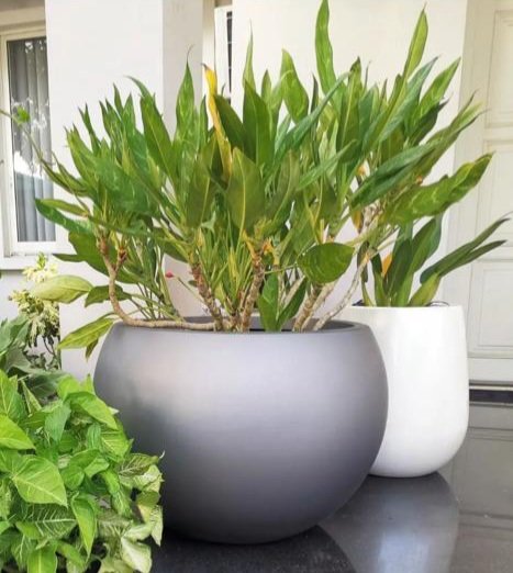 image pot fiber resin