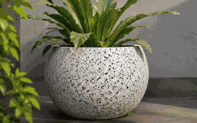 Model Pot Teraso
